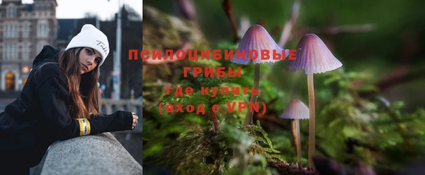 хмурый Наволоки